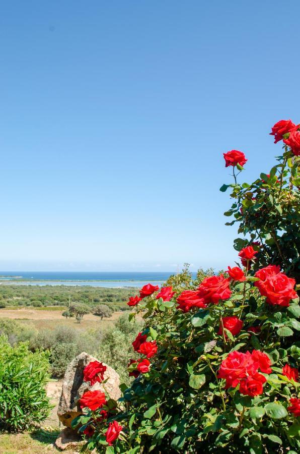 La Minditta San Teodoro (Sardinia) Exterior foto